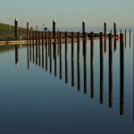Eine Reihe voller Pfosten Eine Reihe von Pfosten stehen im Nassau-Hafen von Wilhelmshaven.