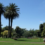 Melbourne: Park mit Palmen und Blumen Melbourne: Park mit Palmen und Blumen
