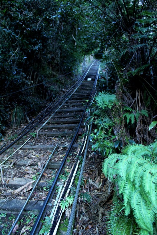 Blue Mountains 05 - Scenic Railway - Steilste Eisenbahn der Welt - IMG_1339-2 Blue Mountains 05 - Scenic Railway - Steilste Eisenbahn der Welt - IMG_1339-2