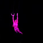 Australien - Silvers Circus 10 - Ringturnen - IMG_2227 Australien - Silvers Circus 10 - Ringturnen - IMG_2227