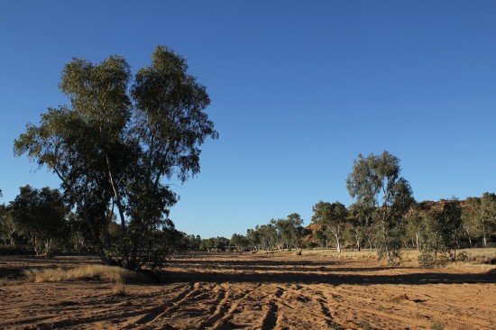 Alice Springs - Dry Todd River Bed - IMG_4178 Alice Springs - Dry Todd River Bed - IMG_4178