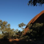 Outback - Vegetation am Uluru Ayers Rock - IMG_4774 Outback - Vegetation am Uluru Ayers Rock - IMG_4774
