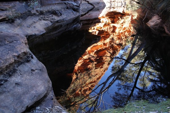 Outback - Wasserloch im Kings Canyon - IMG_5325 Outback - Wasserloch im Kings Canyon - IMG_5325