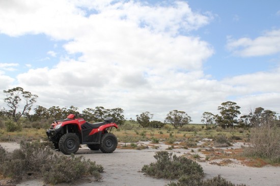 Off-roading The Block - Quad in the wild - IMG_6277