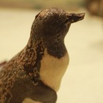 Phillip Island Chocolate Factory 02 - Penguins - IMG_5952 Phillip Island Chocolate Factory 02 - Penguins - IMG_5952