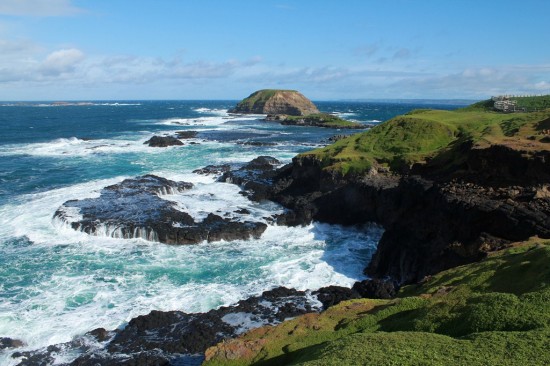 Phillip Island - Küstenlandschaft The Nobbies - IMG_5784 Phillip Island - Küstenlandschaft The Nobbies - IMG_5784