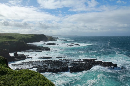Phillip Island - Küstenlandschaft The Nobbies - IMG_5787 Phillip Island - Küstenlandschaft The Nobbies - IMG_5787