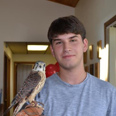 Tomi Saravi Tomi Saravi