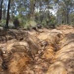 4WD Powerlines 13 - Sideroad 4 - IMG_6630