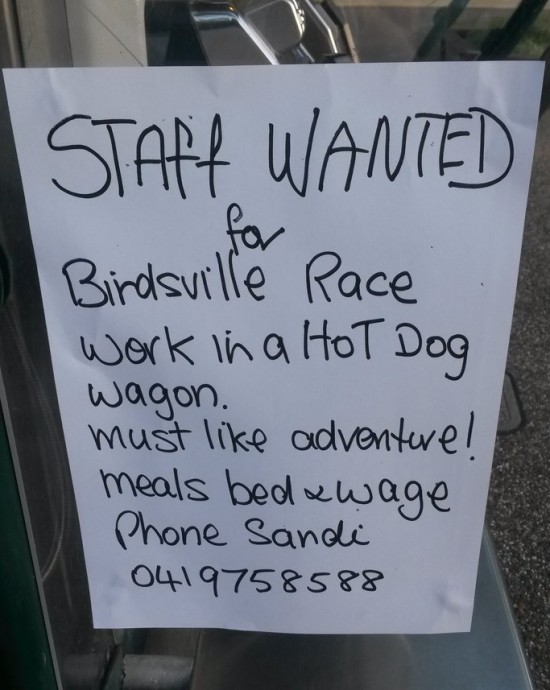 02 Plakat Sandi Job Birdsville - 20140828_165723-2