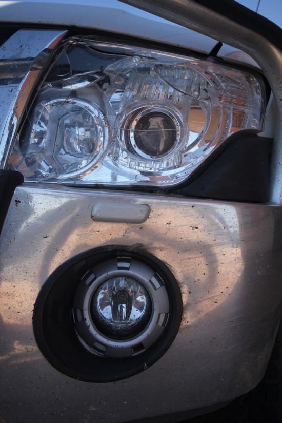 06 Kangaroo Roadkill Car Damage - IMG_4828-2