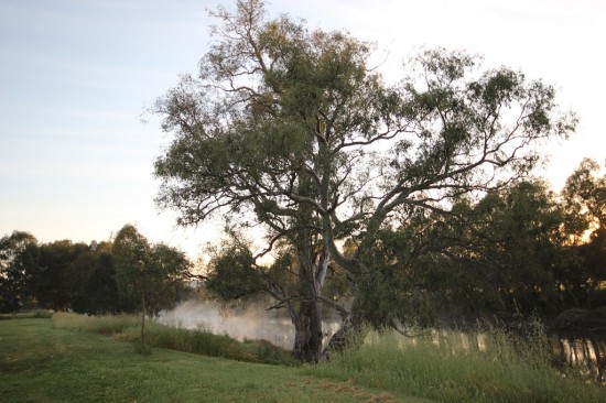 01 Steam over Murrumbidgee River Gundagai NSW - IMG_3764