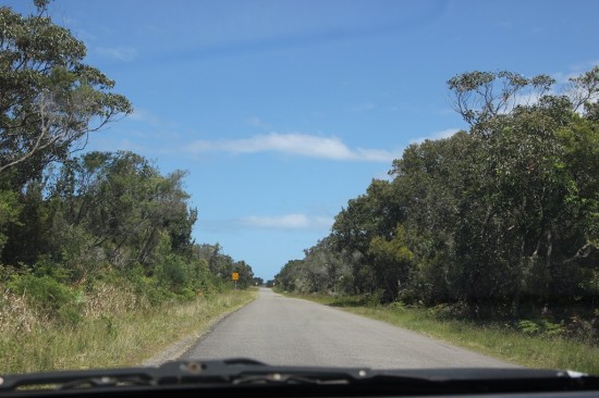 03 Bombah Point Road Scenic Drive - IMG_3577